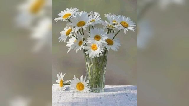 200+DIY Plastic Flowering decor ideas | Plastic Flower crafts смотреть онлайн