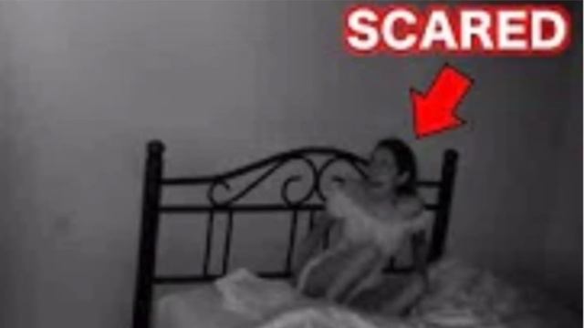 Getting Spooked With The Most Useless Ghost Hunters Ever смотреть онлайн