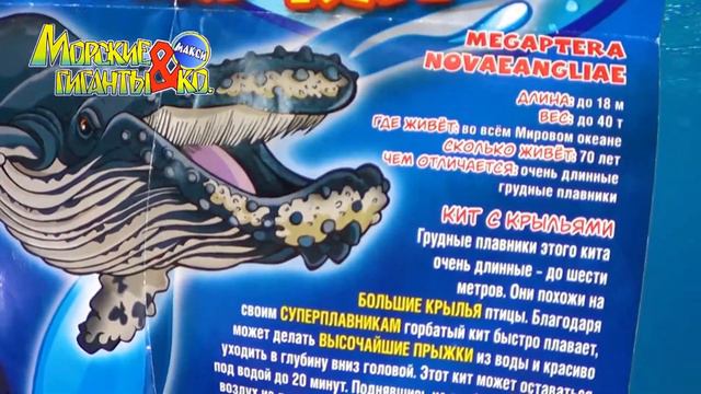Деагостини МОРСКИЕ ГИГАНТЫ и КО ГОРБАТЫЙ КИТ Deagostini распаковка