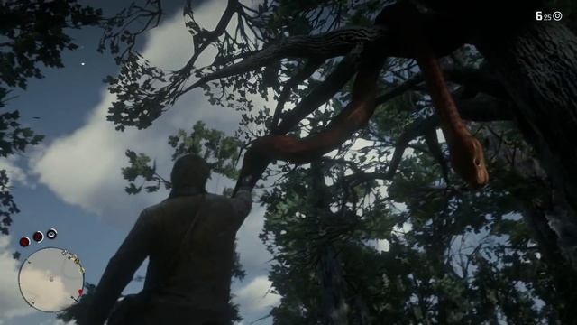 Red Dead Redemption 2: Easter Eggs - Giant Oversized Snake Easter Egg! (Jungle Book Kaa Reference) смотреть онлайн
