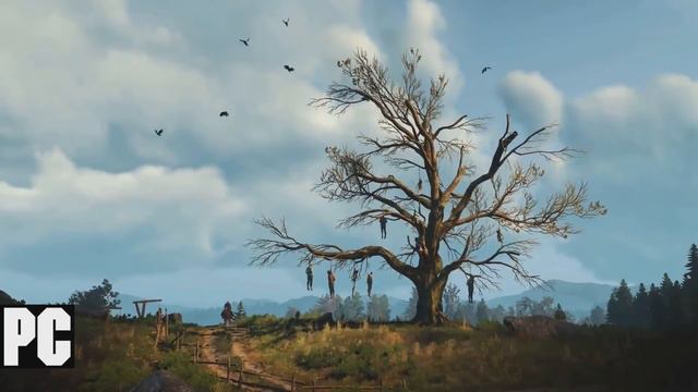 Witcher 3 PC Vs Switch Comparison!