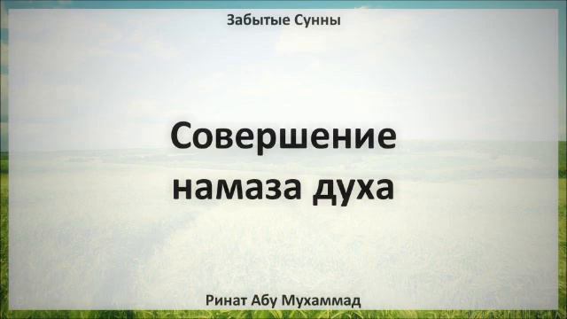 22 Совершение намаза духа || Ринат Абу Мухаммад смотреть онлайн