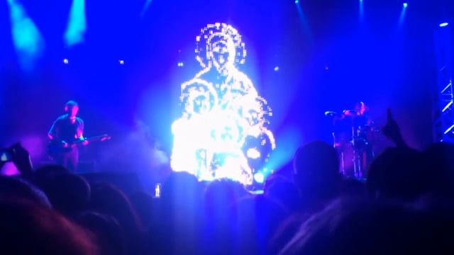 Dolphin Существо