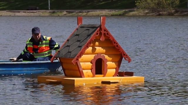 На Большом Солнцевском пруду установили домик для уток смотреть онлайн