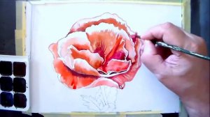 Как нарисовать маки акварелью поэтапно/How to draw a poppy in watercolor stage by stage
