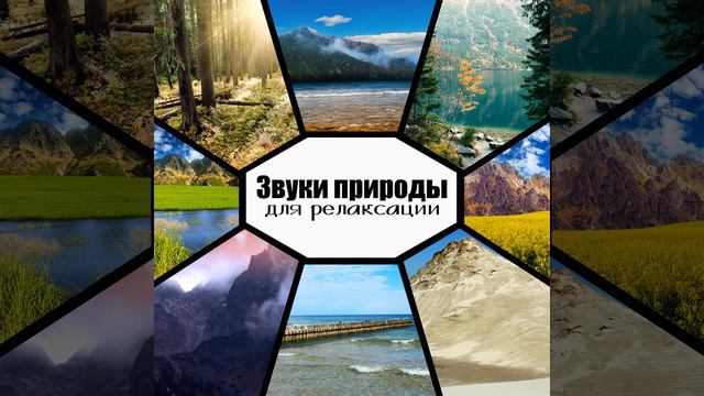 Благословение дождя