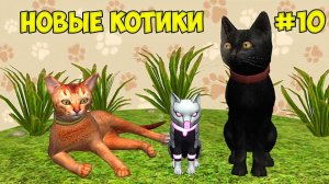 Симулятор КОТА и КОШКИ #10 Новый КОТ против ЛИСЫ на малышерин