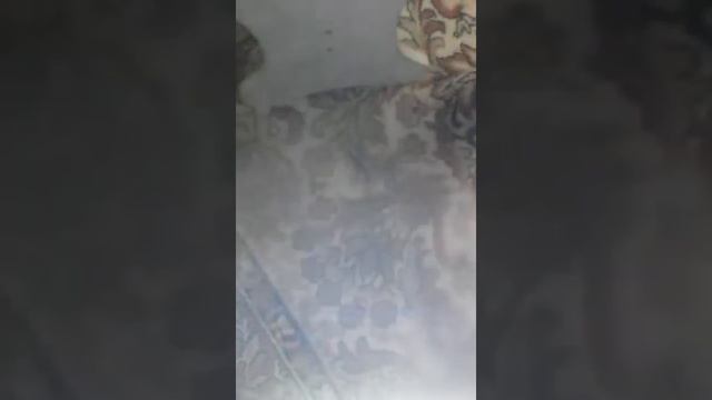 Как зажечь спичку от спички смотреть онлайн