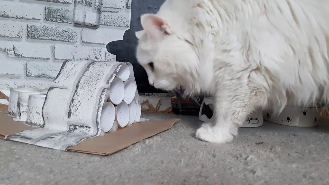 Интеллектуальная кормушка и корм Probalance Adult Gourmet Diet смотреть онлайн