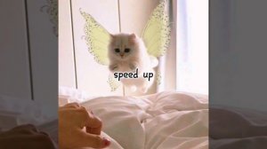 я провожу тебя до лифта и обниму-Дайте танк