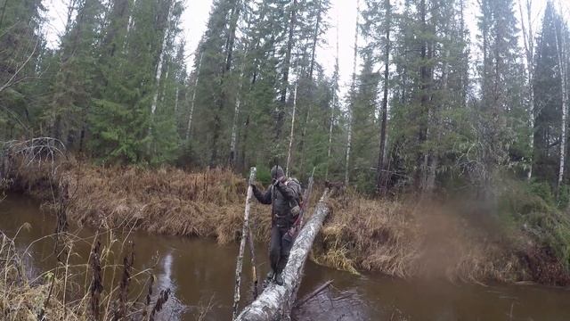 Охота-рыбалка-собирательство #5: Прогулка по боровой птице смотреть онлайн