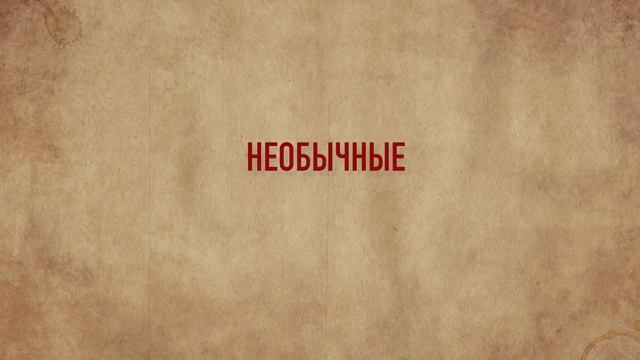 Что ели коренные американцы? Меню для индейцев Северной Америки смотреть онлайн