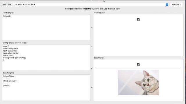 Anki Tutorial: How to Change the Default Font Size смотреть онлайн