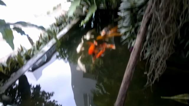 Dragon Beach Resort, Тайланд, Паттая, Jomtien