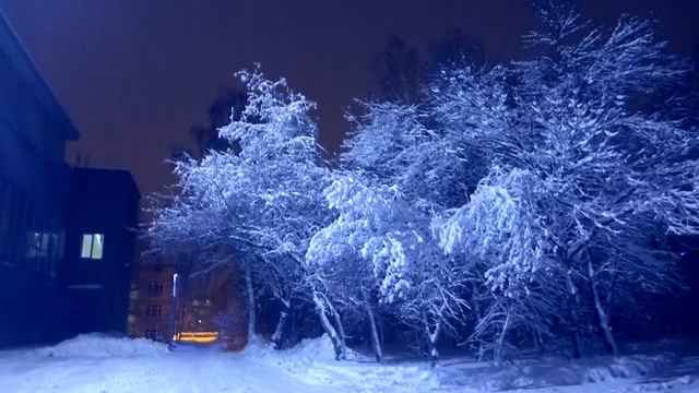 Футаж для видеомонтажа ночь, зимний лес 000108 смотреть онлайн