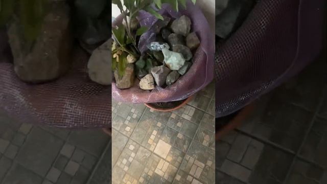 А у вас какое хобби?) смотреть онлайн