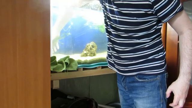 Запуск аквариума 70 л смотреть онлайн