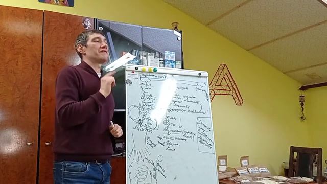 Здоровое тело,основные причины возникновения заболеваний смотреть онлайн