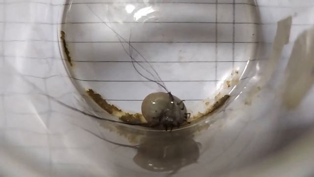 Искусство и Технологии Творчества