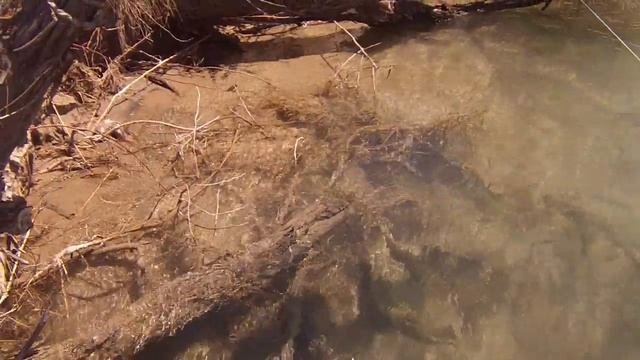 Летняя рыбалка. Река Или. Июнь 2014г смотреть онлайн