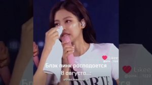 Блэк Пинк распродается 8 августа!??#блэк_пинк