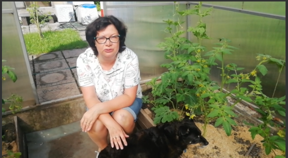 Выращивание арбузов в Сибири. Мой опыт. смотреть онлайн