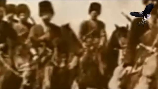 История Дикой Дивизии смотреть онлайн