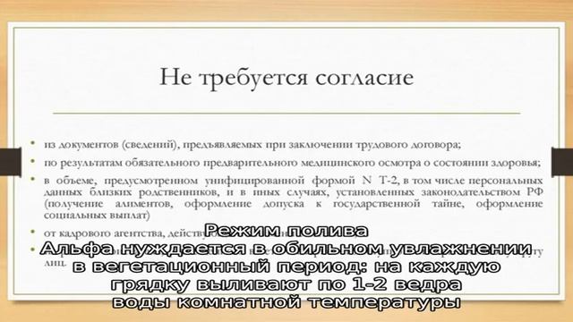 Раннеспелый сорт лука «Альфа», который хорошо хранится смотреть онлайн