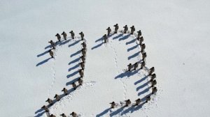 Поздравление женщин-военнослужащих с Днём Защитника Отечества