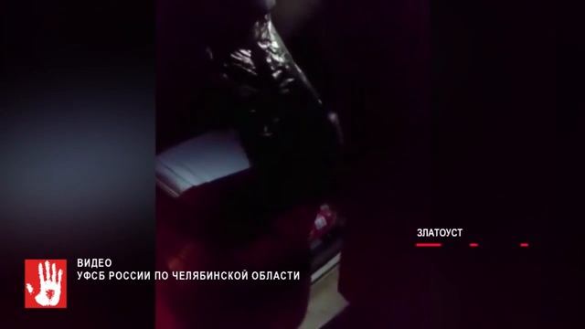 В Златоусте осудили двух жителей Ленинградской области смотреть онлайн