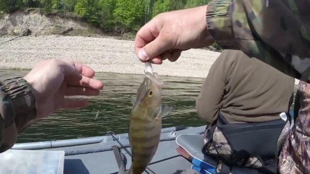 Открытие сезона 2019 с лодки. Рыбалка на КВХ спиннингом. Жор окуня КВХ. смотреть онлайн
