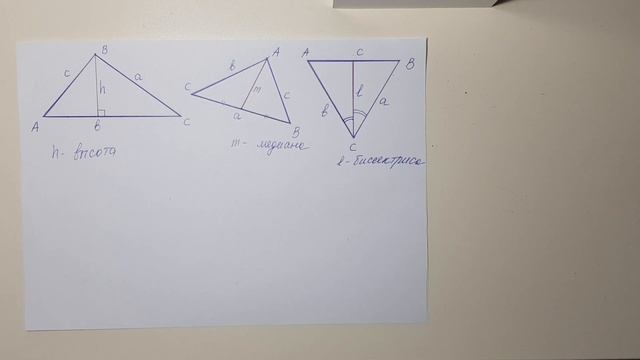 ВЫСОТА МЕДИАНА БИССЕКТРИСА ТРЕУГОЛЬНИКА