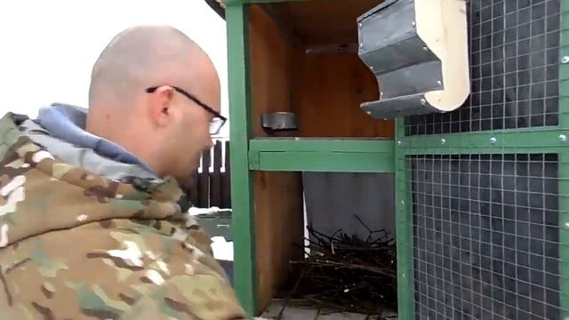 Работа над ошибками начинающих кролиководов. (2019г.) смотреть онлайн