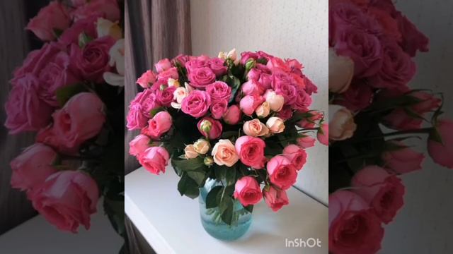 Миллион алых роз. Lyrics and translation смотреть онлайн