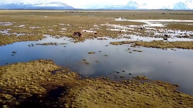 IBIZA SUMMER MIX 2021 ? Best Of Tropical Deep House Music Chill Out Mix #7