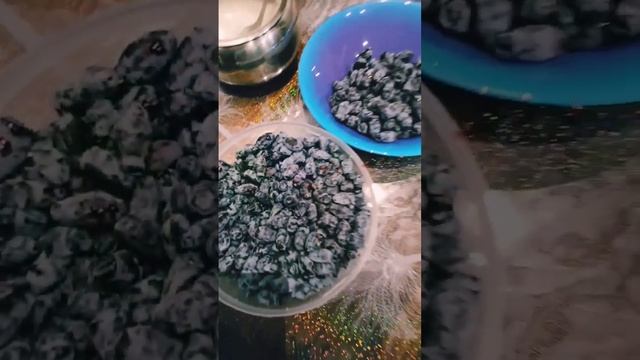 Наивкуснейшая ягода - жимолость! Стекольный. Магаданская область.?❤️? смотреть онлайн