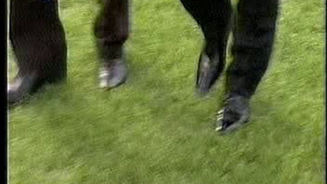 4к, Кубок России смотреть онлайн