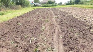 Регулировка плуга к МБ- 2 Нева.  Размеры .