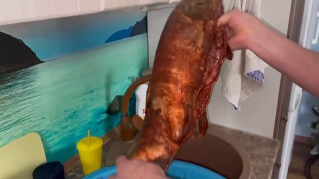 Холодное и горячее копчение рецепты