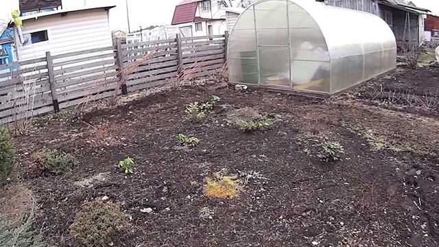 Выезд на дачу и испорченное самоуправством председателя настроение смотреть онлайн