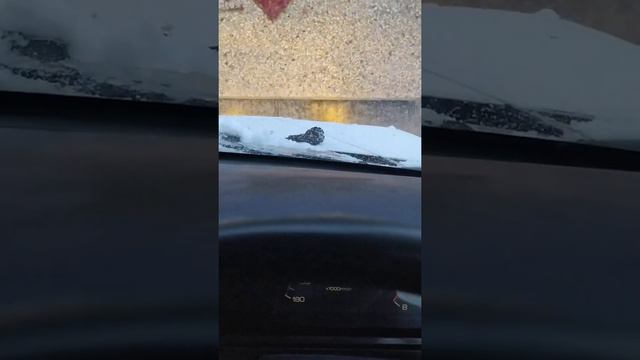 Запуск машины зимой. смотреть онлайн