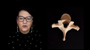 Строение типичного позвонка #анатомия #медицина #анатомиячеловека