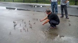 Мужик поймал воробья