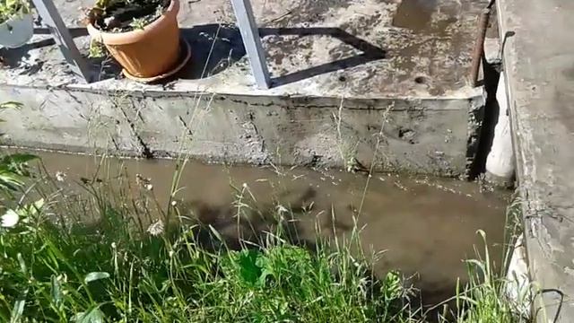 Дача 12.06.2017. Ручей превратился в горный поток. смотреть онлайн