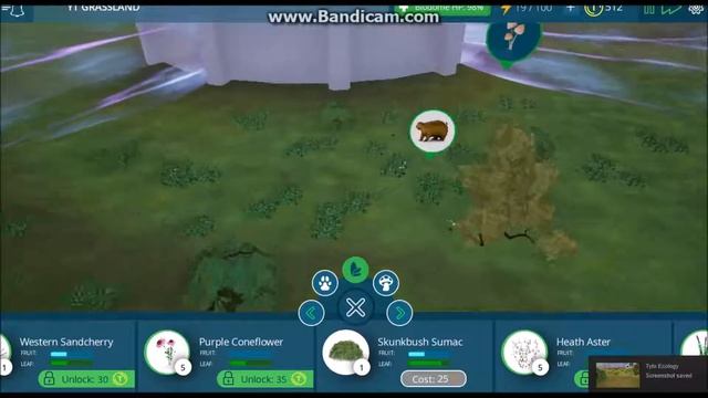 Tyto Ecology Grassland Ep 1 смотреть онлайн