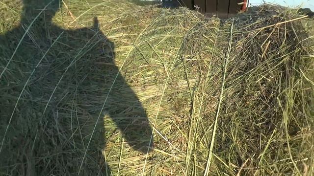 Сенокос 2021 в разгаре.Катаем рулоны.Без поломок не бывает...