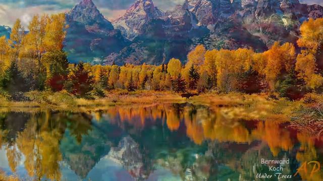 BERNWARD KOCH Under Trees смотреть онлайн