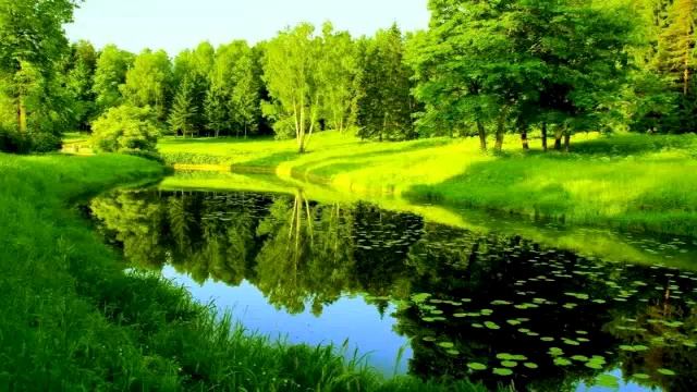 БАСНЯ, УЛИТКИ, ЭЗОП смотреть онлайн