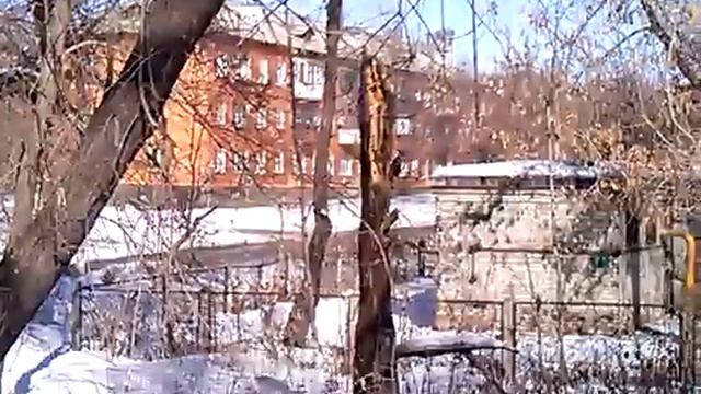 Экология Магнитогорска.Дятел в городе за чистый воздух. смотреть онлайн