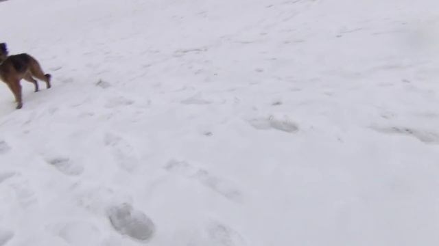 Ловится ли плотва в сумерках, 2 контрольный выезд смотреть онлайн